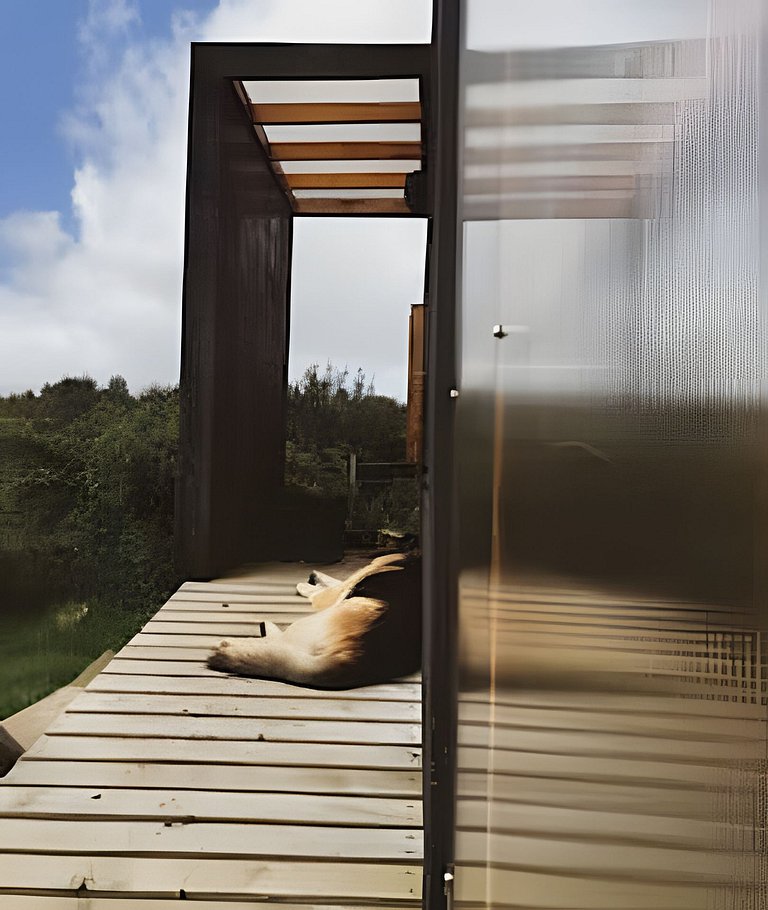 Tinyhouse Pichi II - vida lenta en Patagonia Costa