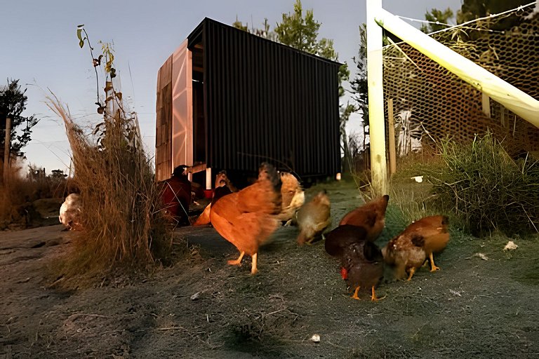 Tinyhouse Pichi II - vida lenta en Patagonia Costa