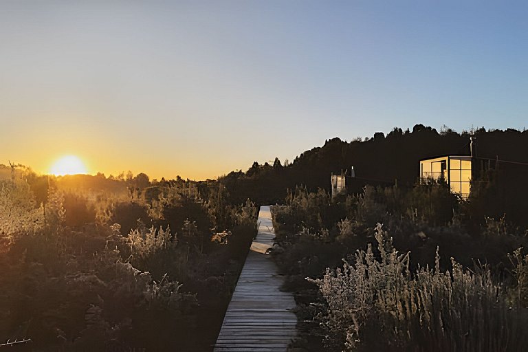 Tinyhouse Pichi I - vida lenta en Patagonia Costa