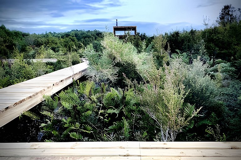Tinyhouse Pichi I - vida lenta en Patagonia Costa