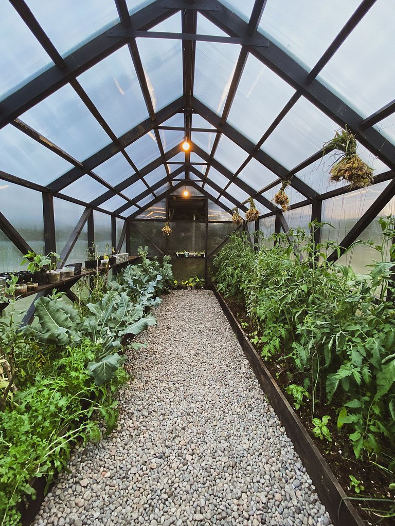 Pichi I Calbuco - Tiny house-style cabin facing the lagoon