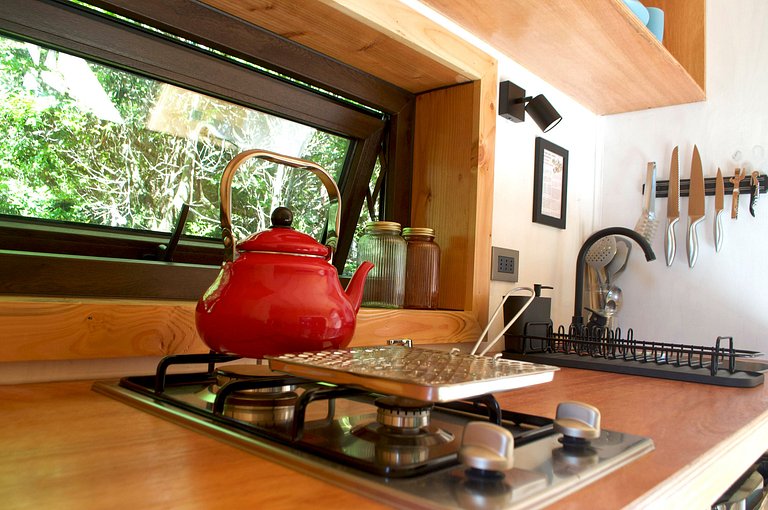 Pichi Cucao | tinyhouse en bosque nativo