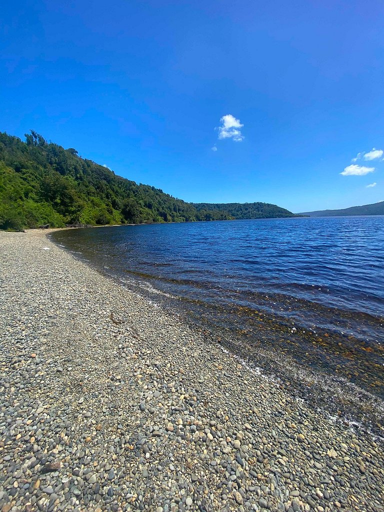 Pichi Cucao | Cabaña tipo Cabina en bosque nativo